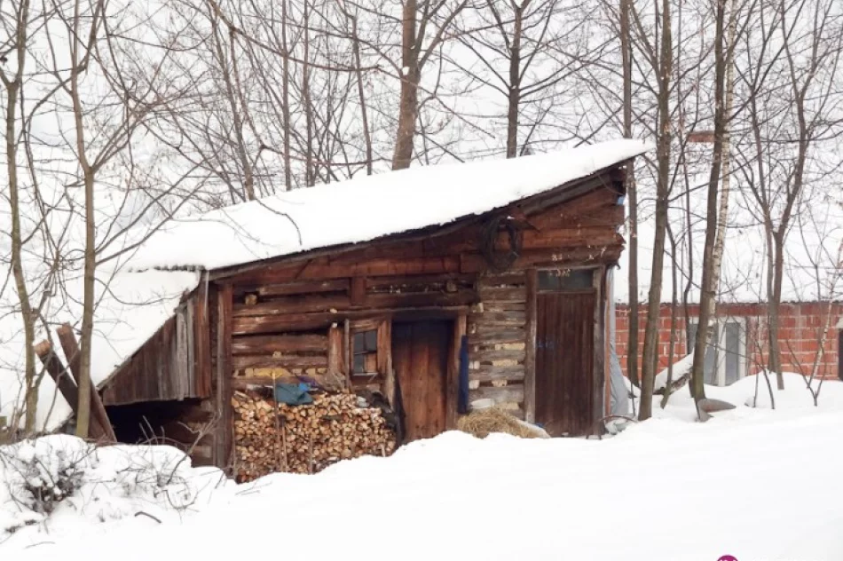 'Nie wiem, czy do wiosny przeżyję' - zdjęcie 4