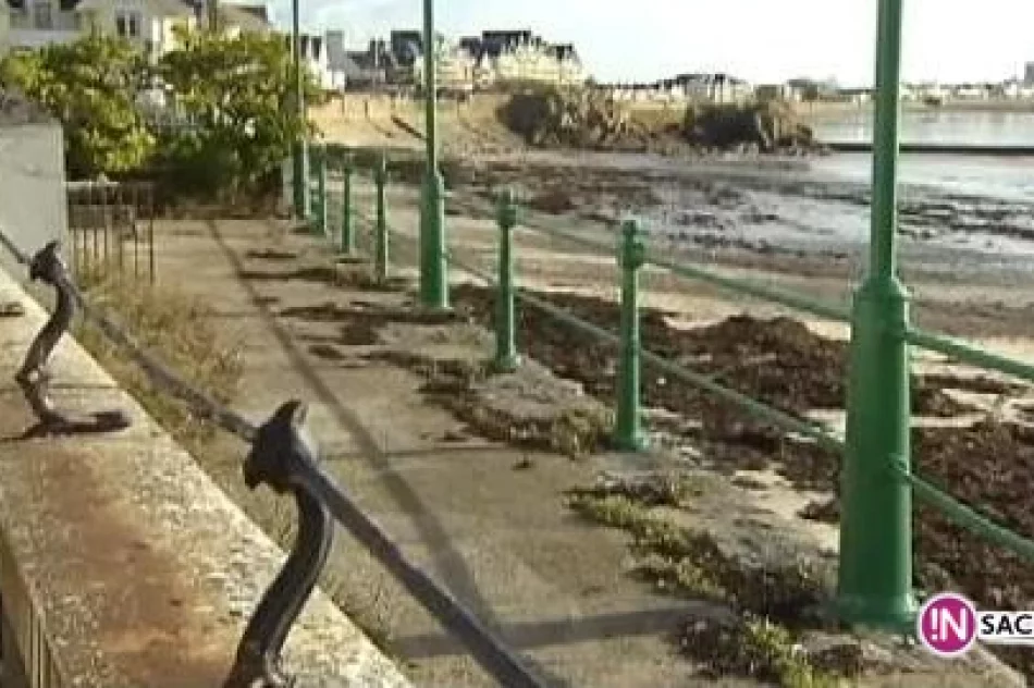 Pomnik upamiętni ofiary Damiana Rz. - zdjęcie 3