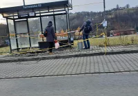 Dostęp do wiaty przystankowej uniemożliwia teraz... siatka - zdjęcie główne