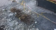 Dostęp do wiaty przystankowej uniemożliwia teraz... siatka - zdjęcie 5