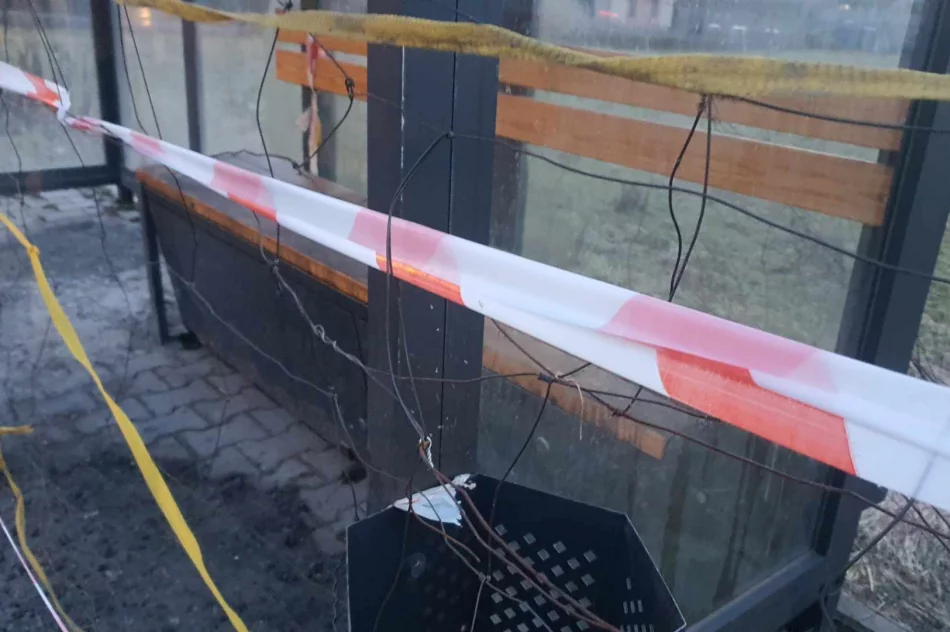 Dostęp do wiaty przystankowej uniemożliwia teraz... siatka - zdjęcie 8