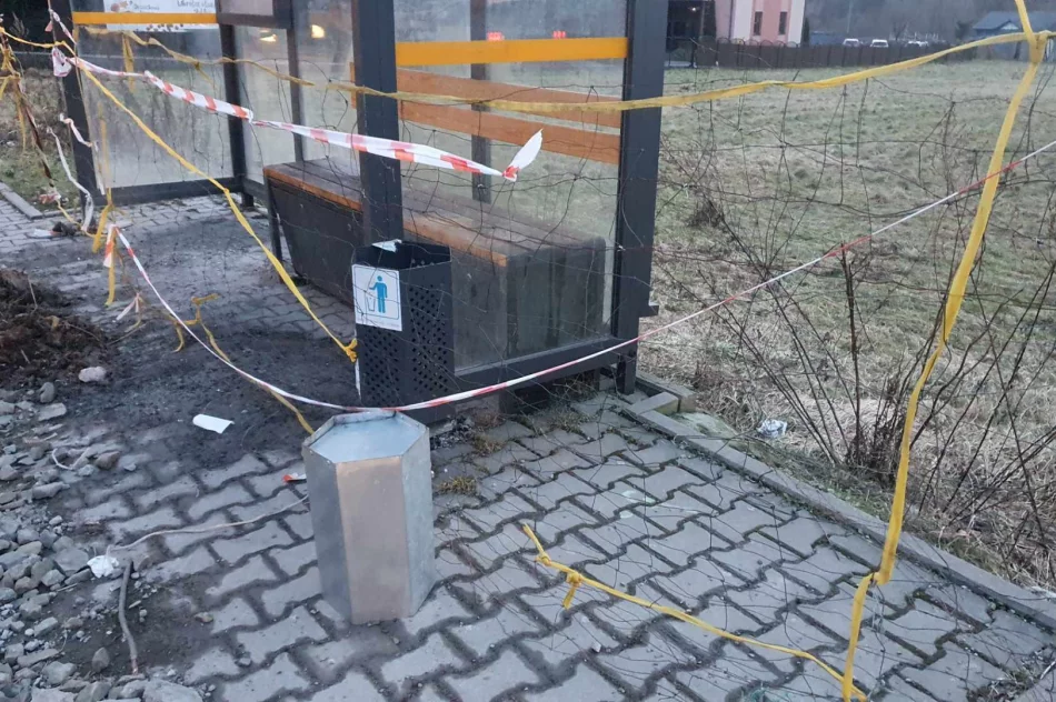 Dostęp do wiaty przystankowej uniemożliwia teraz... siatka - zdjęcie 9