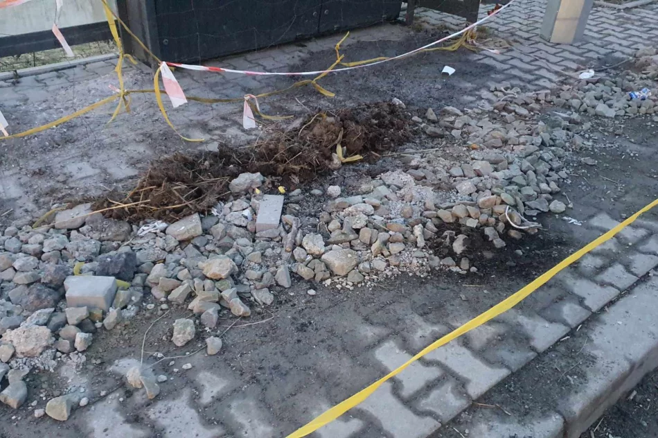 Dostęp do wiaty przystankowej uniemożliwia teraz... siatka - zdjęcie 10