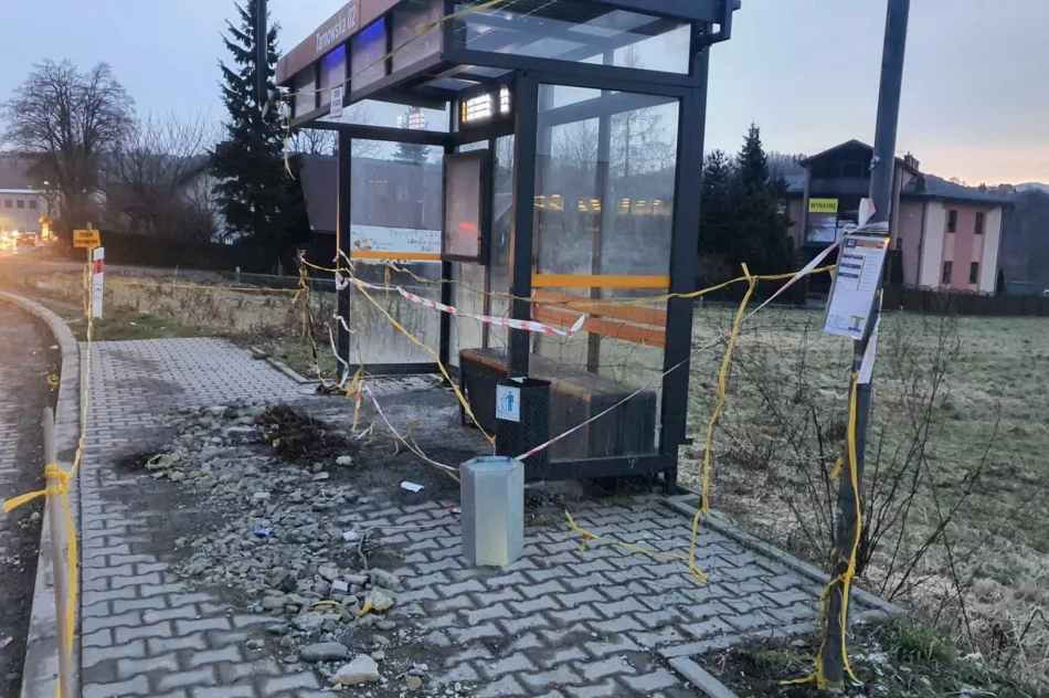 Dostęp do wiaty przystankowej uniemożliwia teraz... siatka - zdjęcie 11