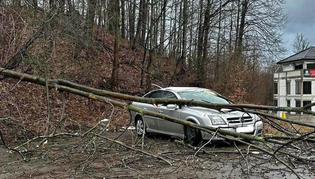 Drzewo spadło na samochód/fot.: OSP Słopnice Dolne