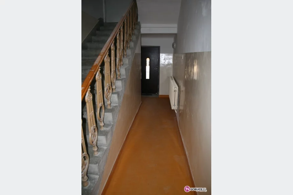 Nowy lokal dla Patronusa w Gorlicach - zdjęcie 4