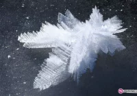 Miasto Mszana zamyka szkoły - zdjęcie główne