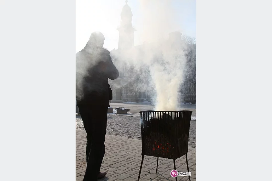 Na przystankach pojawiły się koksowniki - zdjęcie 2