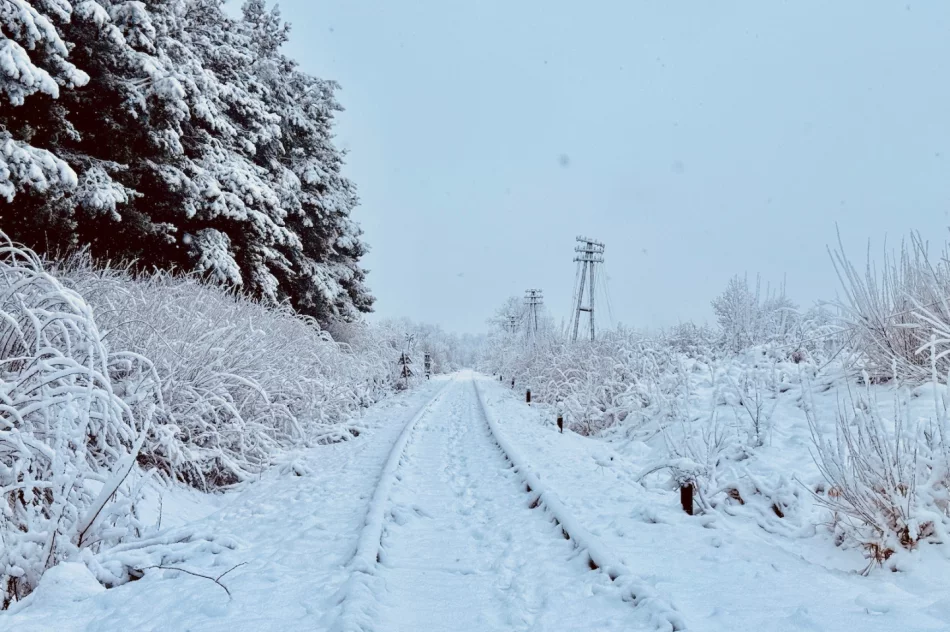 Śnieg na krótko - ostrzeżenie o roztopach - zdjęcie 4