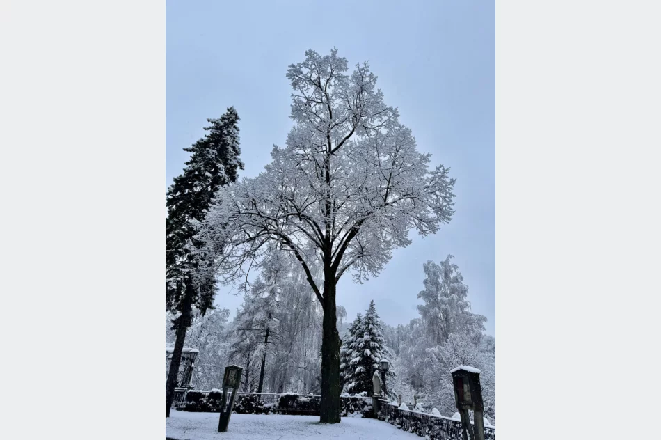 Śnieg na krótko - ostrzeżenie o roztopach - zdjęcie 5