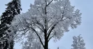 Śnieg na krótko - ostrzeżenie o roztopach - zdjęcie 5