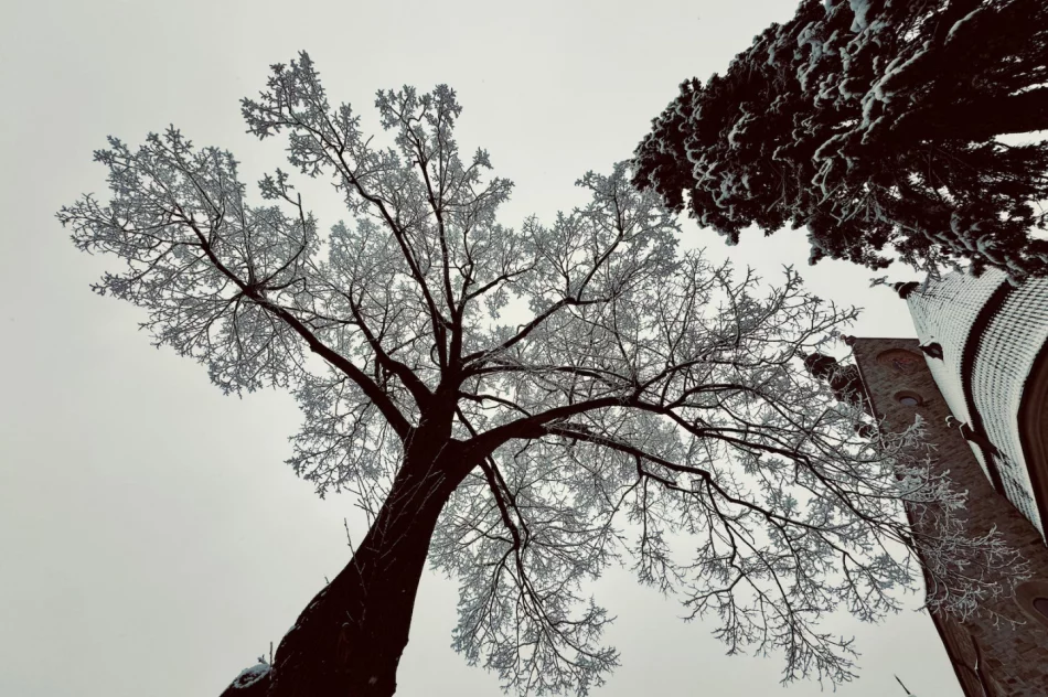 Śnieg na krótko - ostrzeżenie o roztopach - zdjęcie 6