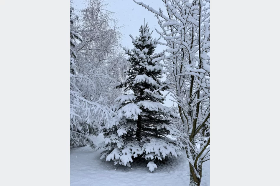 Śnieg na krótko - ostrzeżenie o roztopach - zdjęcie 9