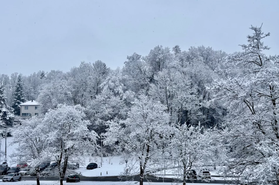 Śnieg na krótko - ostrzeżenie o roztopach - zdjęcie 11