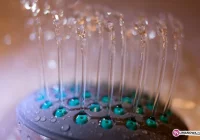 Nie mają wody, bo... zniknęła - zdjęcie główne