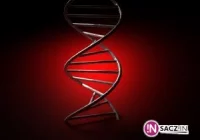 Emerytowany proboszcz szuka genu Adama - zdjęcie główne