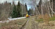 ​Skomplikowana akcja ratunkowa w masywie leśnym - zdjęcie 3