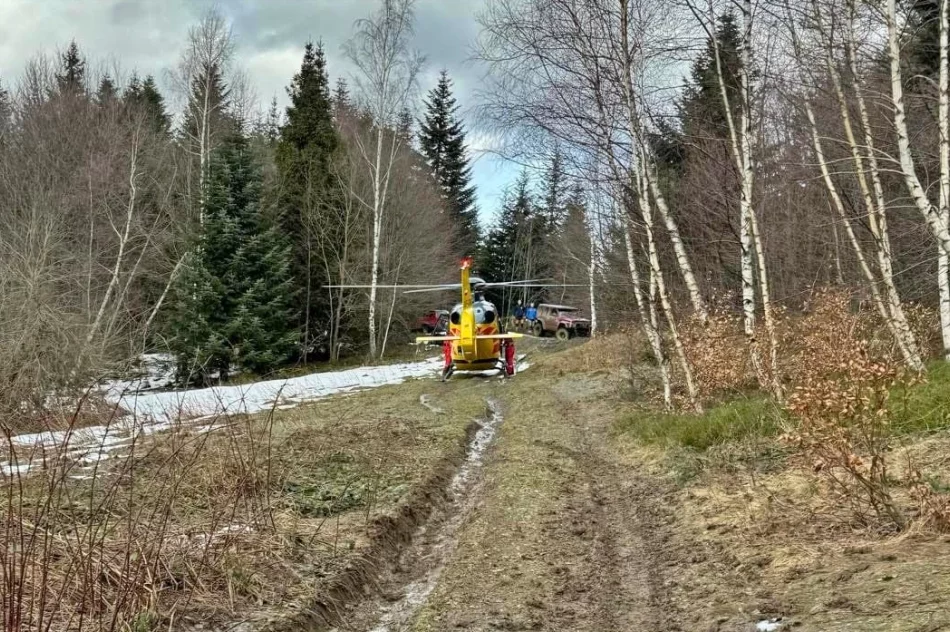 ​Skomplikowana akcja ratunkowa w masywie leśnym - zdjęcie 3