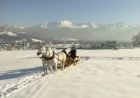 Kulig w Zakopanem — niezapomniane wspomnienia - zdjęcie główne
