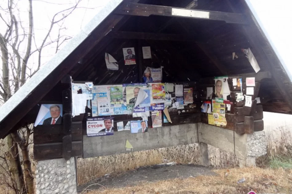 Fotointerwencja: ciekawy przystanek - zdjęcie 2