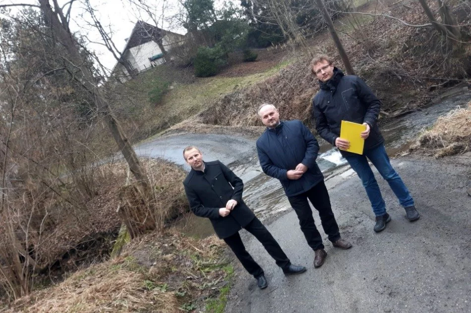 Projekt mostu w Nowym Rybiu - zdjęcie 4
