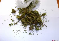 13-latek posiadał 5 g marihuany, 29-latka - 29 g - zdjęcie główne