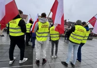 "Chcemy jeść zdrową żywność, a nie jakieś plastiki i robaki" (ZDJĘCIA) - zdjęcie główne