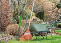 Prace w ogrodzie w lutym przy nietypowo wysokich temperaturach - zdjęcie główne