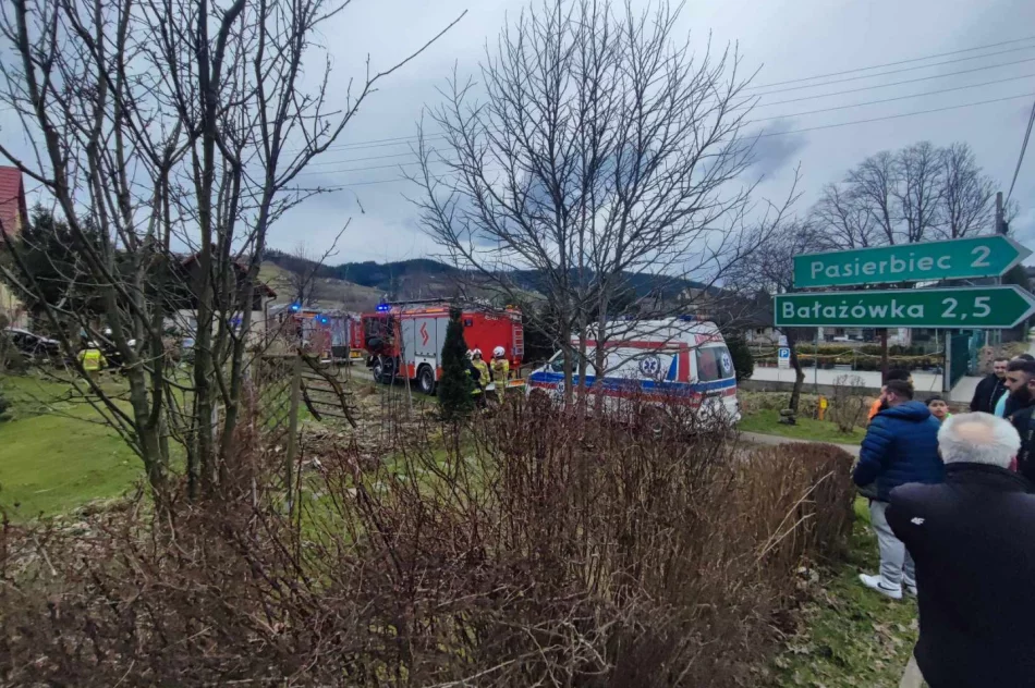Samochód rozbił się na drzewie przed domem - zdjęcie 2