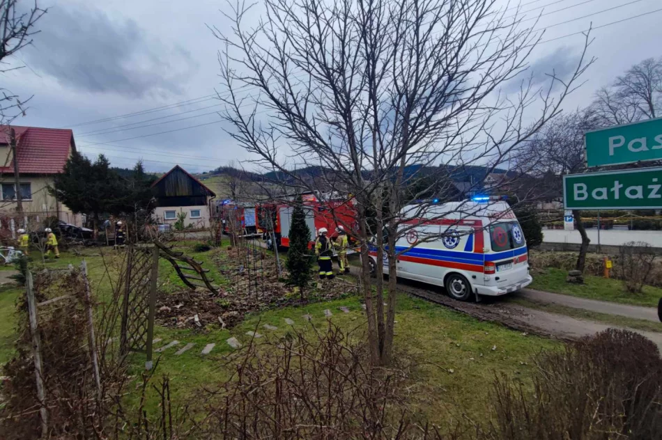 Samochód rozbił się na drzewie przed domem - zdjęcie 3