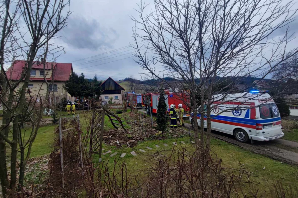 Samochód rozbił się na drzewie przed domem - zdjęcie 7