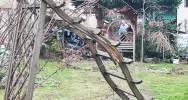 Zasłabnięcie kierowcy przyczyną uderzenia w drzewo i budynek - zdjęcie 5