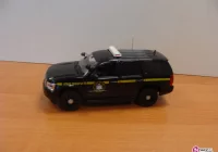 Policja włącza się w sądecki finał WOŚP - zdjęcie główne