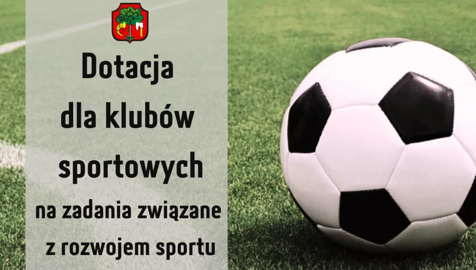 Dotacja dla klubów na działania w zakresie rozwoju sportu w 2024 roku - zdjęcie 1