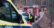 Wypadek konnego zaprzęgu, wezwano LPR - zdjęcie 2