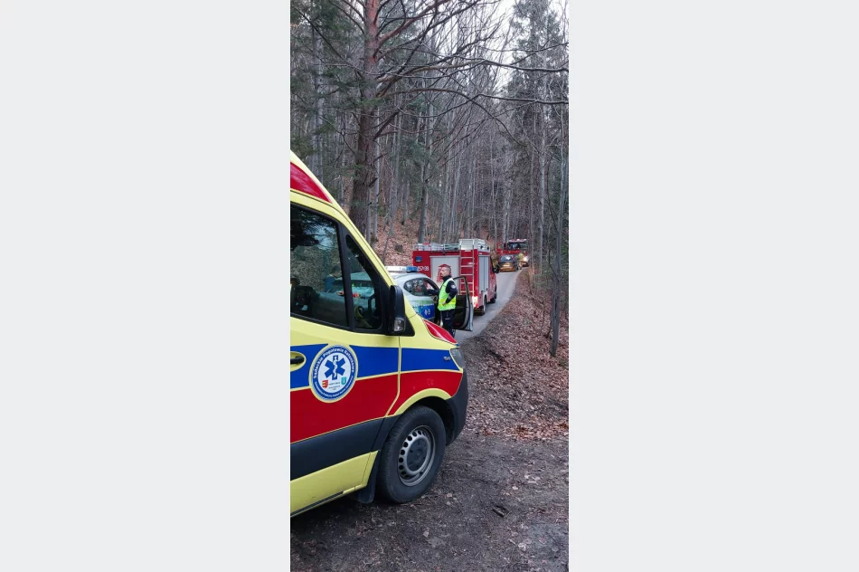 Wypadek konnego zaprzęgu, wezwano LPR - zdjęcie 2