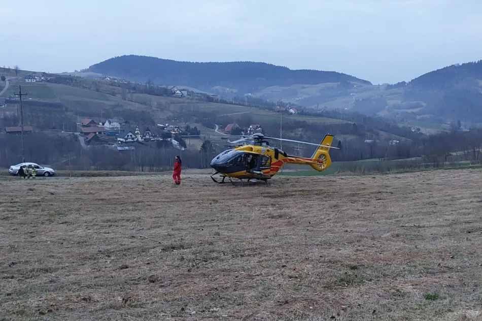 Wypadek konnego zaprzęgu, wezwano LPR - zdjęcie 4