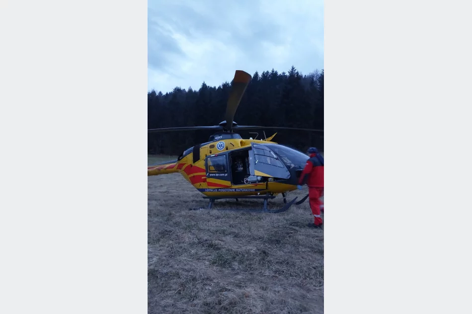 Wypadek konnego zaprzęgu, wezwano LPR - zdjęcie 6