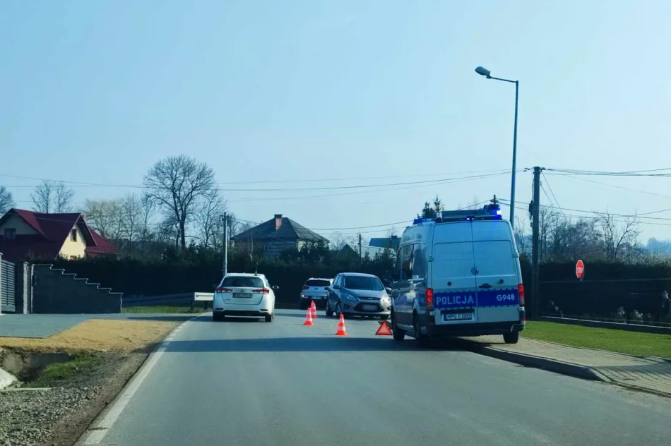 Zderzenie aut, jedna osoba trafiła do szpitala - zdjęcie 3