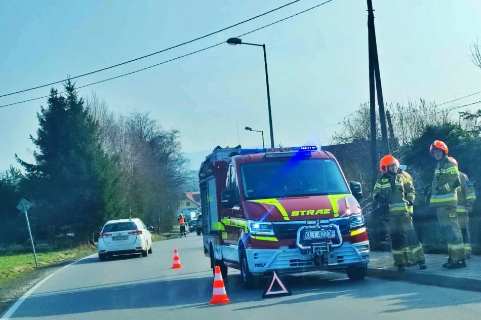 Zderzenie aut, jedna osoba trafiła do szpitala - zdjęcie 4