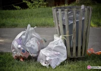 Brakuje pieniędzy - śmieci zostają - zdjęcie główne