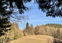 Luty najcieplejszy od ponad 100 lat. Zimę zastąpi pora chłodna - twierdzą eksperci - zdjęcie główne