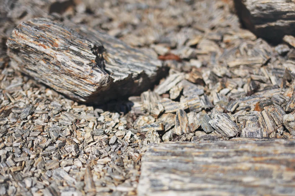 Kora kamienna - zdjęcie 2