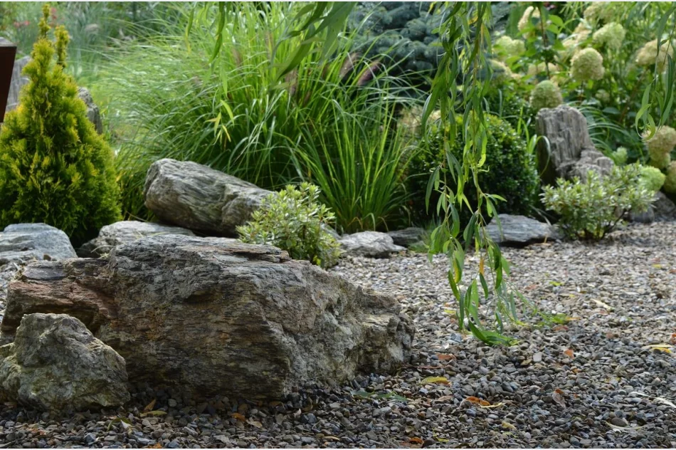 Kora kamienna - zdjęcie 3