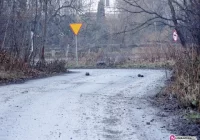 Droga nadal pęka, a miasto tylko patrzy - zdjęcie główne