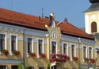 Problem wałęsających się psów - zdjęcie główne