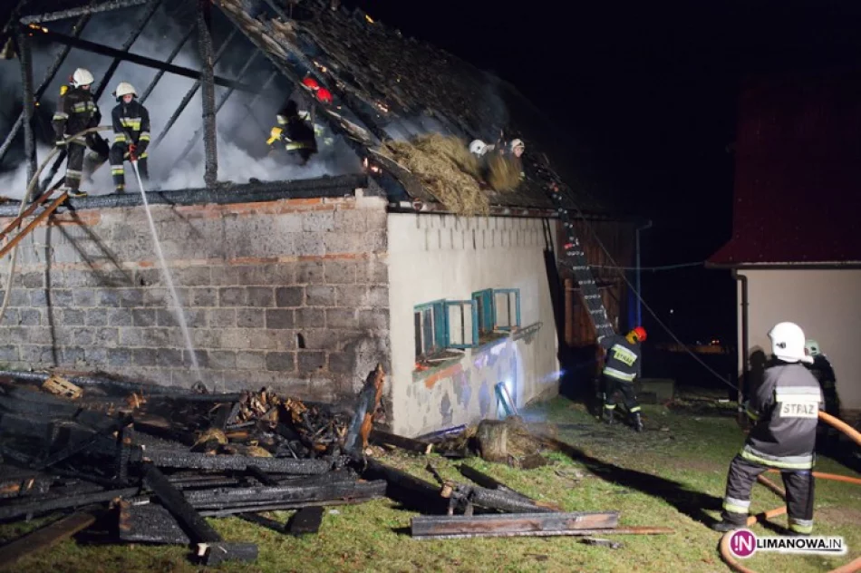Płonął budynek gospodarczy, uratowano dom - zdjęcie 2