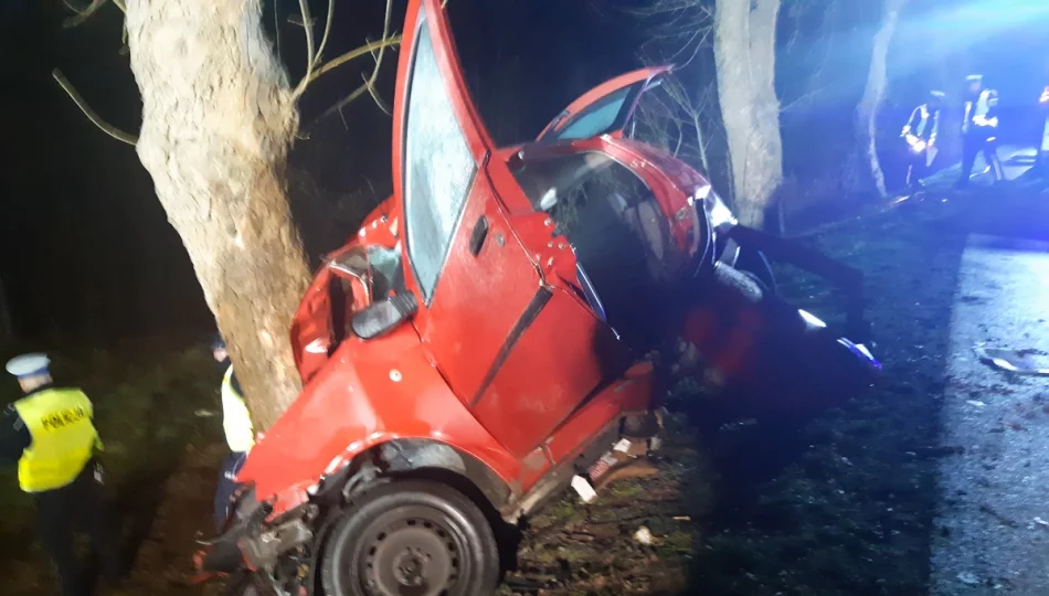 Trzech mężczyzn zginęło w tragicznym wypadku - zdjęcie 1
