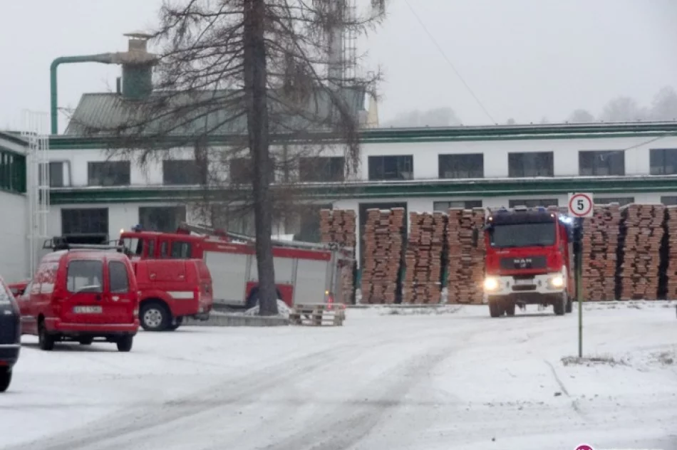 Szybko ugaszony pożar w stolarni - zdjęcie 2