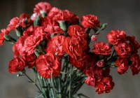 Kwiaty na Dzień Kobiet - róże, tulipany, a może słodkie prezenty? - zdjęcie główne